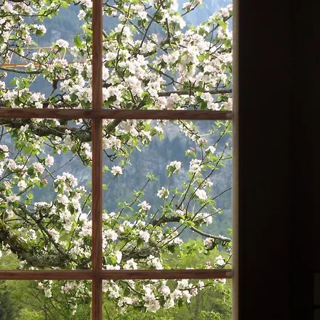 Staldacher Bed & Breakfast Hasliberg