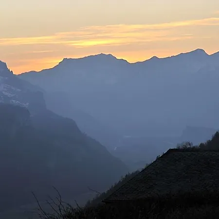 Staldacher 3*