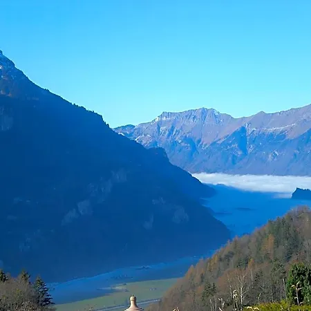 Staldacher