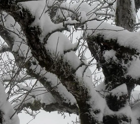 Bed and breakfast Staldacher 3*