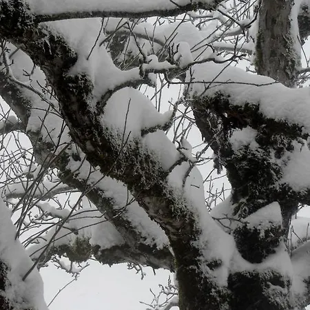 Nocleg ze śniadaniem Staldacher 3*