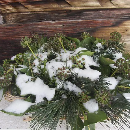 Staldacher Nocleg ze śniadaniem 3*