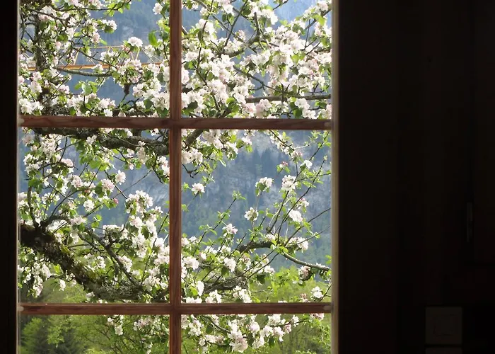 Staldacher Bed & Breakfast Hasliberg